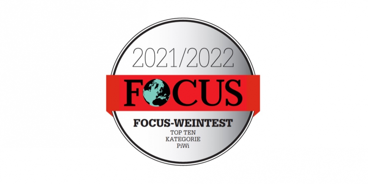 Focus 2021 - Die Top Ten deutscher Weine in vier Kategorien | Cabernet Blanc Vulkanlöss trocken vom ökologischen Weingut Kiefer vom Kaiserstuhl in Herrenbuck