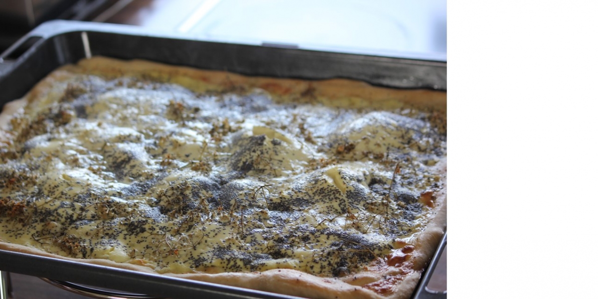 Rahmkuchen auf Blech