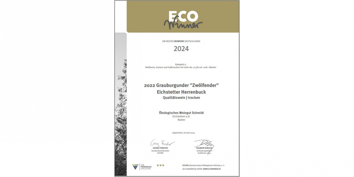 Ecowinner 2024