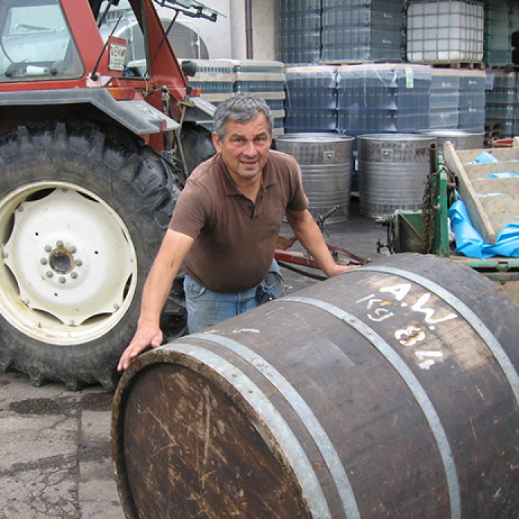 Mitstreiter | Weißwein in Trocken, Halbtrocken, Feinherb und Edelsüß vom Bio-Weingut Kiefer in Herrenbuck