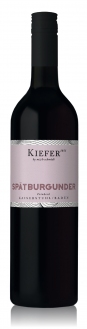Spätburgunder Rotwein qba Feinherb | Freche Kaiserstühler des ökologischen Weingut Kiefer vom Kaiserstuhl