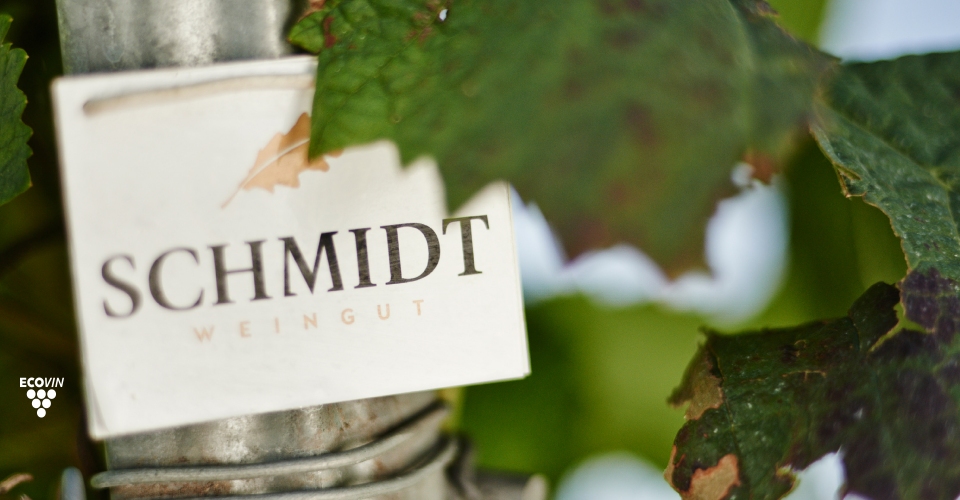 Schild in den Reben mit Schriftzug "Schmidt" 